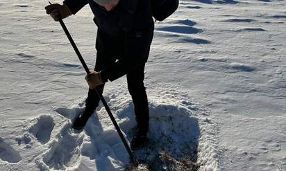 Специалистами ООО «Вектор Экология» 24.11.2023 осуществлён выезд на территорию ПАО «Уралкуз»