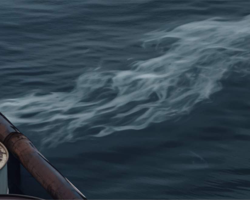 Вектор Экология | План предупреждения и ликвидации разливов нефти и ...